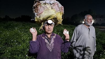 حكاية قرية برائحة الياسمين 