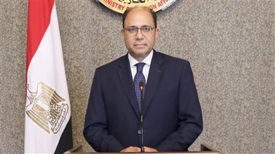الخارجية: الدولة المصرية أصبحت أكثر قدرة على التعبير عن نفسها ومصالحها مع شركائها