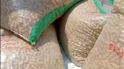 ضبط كميات فول سوداني وخل منتهية الصلاحية في حملة تموينية ببورسعيد