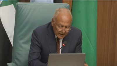 أبو الغيط: قوى إقليمية غير عربية تمارس أدوارا تخريبية استغلالا للأزمات