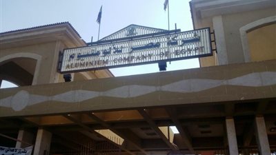 تقرير رقابي: شركة مصر للألومنيوم استثمرت أكثر من 167 مليون جنيه غير ذي جدوى 