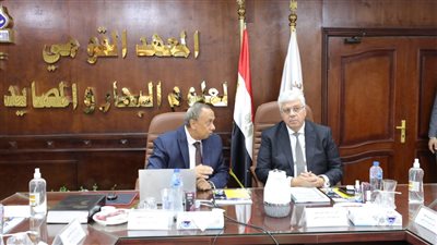 تأكيدًا لـ القاهرة 24.. التعليم العالي: تشكيل لجنة قومية للإنذار المُبكّر من موجات التسونامي