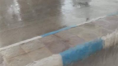 أجواء شتوية.. سقوط أمطار على مدينة جمصة │ صورة