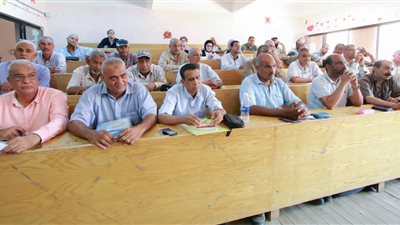 الأقصر تستعد لقمة المناخ بتدريب 3000 معلم