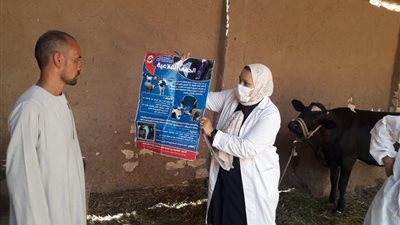 انطلاق الحملة القومية الثانية للتحصين ضد الحمى القلاعية والوادي المتصدع بالأقصر