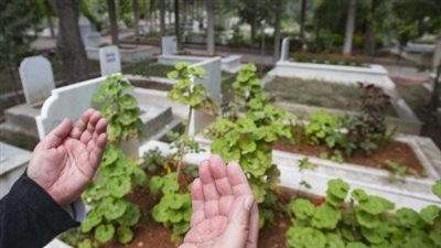 أدعية للمتوفي مكتوبة بجمل قصيرة.. ردده يوم الجمعة