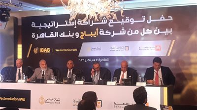 3 بنوك حكومية تستحوذ على 40% من أيباج التابعة لويسترن يونيون لتحويل الأموال