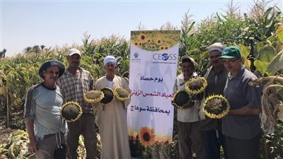 أندريه زكي: تسعى الهيئة الإنجيلية للتوسع في زراعة وإنتاج المحاصيل الاستراتيجية
