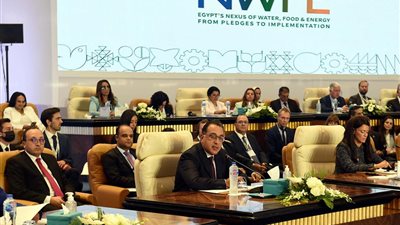 رئيس الوزراء: توفير التمويل اللازم لمشروعات المناخ ضرورة.. وقمة COP27 ستكون لحظة فارقة 