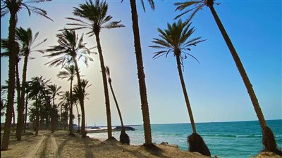 استقرار حالة الطقس بشمال سيناء.. والعظمى بالعريش تسجل 31 درجة