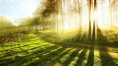 أذكار الصباح مكتوبة كاملة من حصن المسلم - فيديو