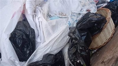 أنجباه سفاحًا.. حبس المتهمين بالتخلص من جثة رضيع وسط القمامة في شبرا الخيمة 