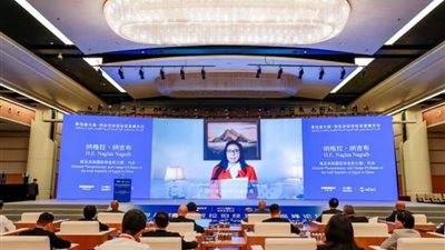 سفارة مصر في بكين تستعرض فرص الاستثمار الأجنبي المتاحة بالبلاد