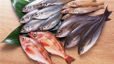 أسعار الأسماك في سوق العبور للجملة اليوم الثلاثاء 27 ديسمبر 2022