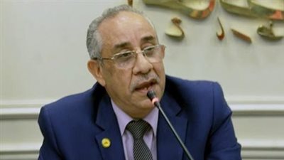 إخلاء سبيل المرشح طلعت خليل وشقيقته وأحد مندوبيه بكفالة قدرها 10 آلاف جنيه