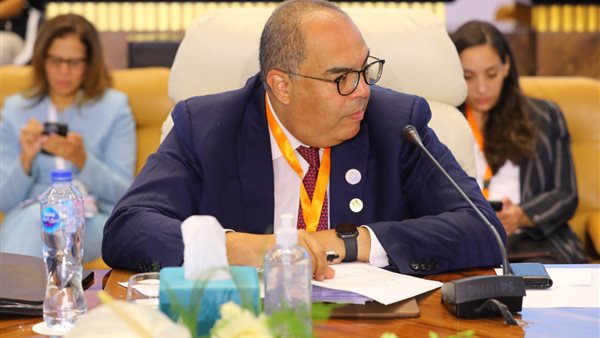 الدكتور محمود محيي