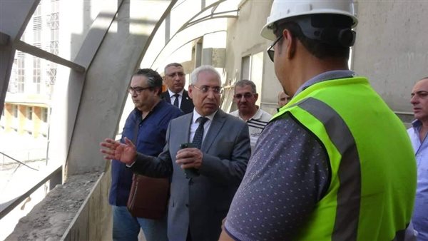 جامعة المنيا