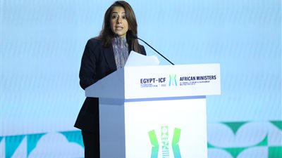 حنان مرسي: لا توجد قضية تتطلب تعاونًا أهم من أزمة التغيرات المناخية