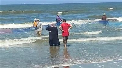 رزق البحر العائم.. لحظة خروج شباك الصيادين ممتلئة بالأسماك على شاطئ بورسعيد | بث مباشر 