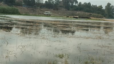 محليات المنوفية تحذر من فيضان النيل وضرورة إخلاء منازل وأراضي طرح النهر