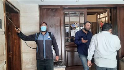 انتشار النمل الأبيض بين أروقة نادي سموحة وغلق قاعات للصيانة