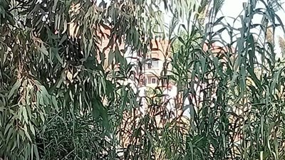 أمن المنوفية يكثف الجهود لكشف هوية جثمان ترعة العطف.. ومصدر: التنسيق مع المديريات القريبة