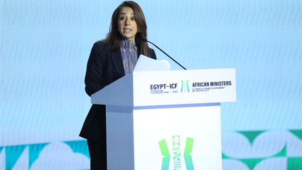 الدكتورة حنان مرسي