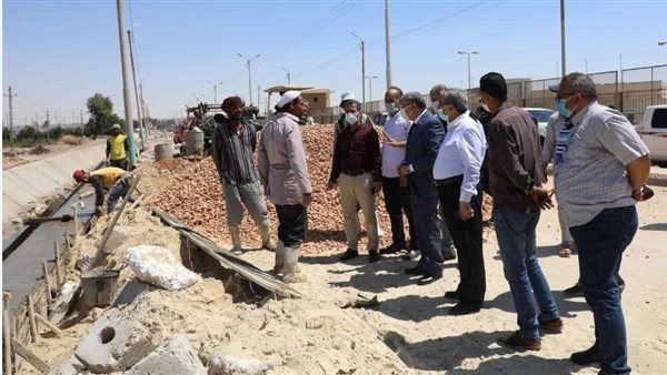 محافظ المنيا