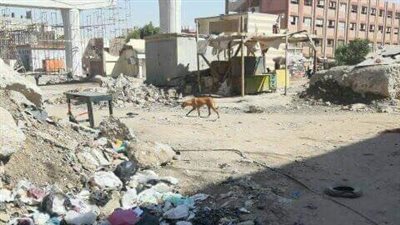 العمال بيستخدموا الحمامات.. أولياء أمور يشتكون من هدم سور مدرسة بالجيزة لإنشاء كوبري