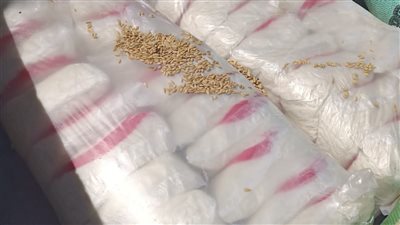 ضبط 3 أطنان مخلل غير صالحة للاستهلاك الآدمي بالبحيرة