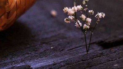 صور للواتساب..تشكيلة من الخلفيات المتنوعة