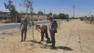 محافظ المنيا يتابع جهود الوحدات المحلية في تنفيذ المبادرة الرئاسية لزراعة 100 مليون شجرة