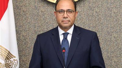 مصر ترحب بنتائج اجتماع رئيسي مجلسي النواب والدولة الليبيين