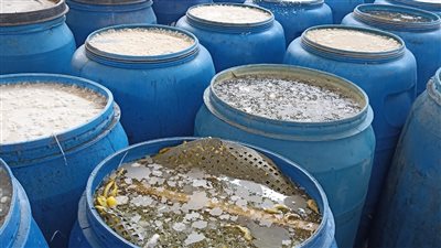 ضبط 10 أطنان مخلل داخل مصنع بدون ترخيص في البحيرة