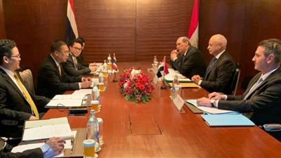مصر وتايلاند تعقدان جولة مشاورات سياسية