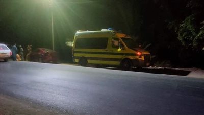 مصرع مسنة وإصابة آخرين في تصادم سيارة أجرة ومقطورة ببورسعيد