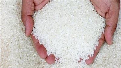 الغرامة 10 آلاف جنيه.. رئيس شعبة الأرز يحذر الفلاحين من عدم التوريد للمضارب