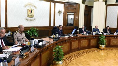 مدبولي: بدء الإعداد للمؤتمر الاقتصادي.. ومستمرون في التعامل الفوري مع أي تحديات تواجه المستثمرين 