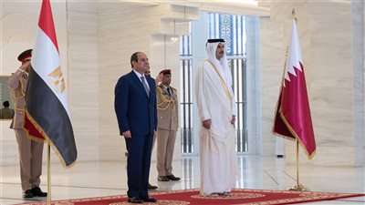 الاستثمار والنقل والقضايا الإقليمية.. أبرز ملفات مباحثات الرئيس السيسي وأمير قطر |صور 