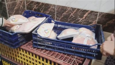 ضبط 876 كجم لحوم دواجن غير صالحة للاستهلاك الآدمي بعدد من المجازر في كفر الشيخ 