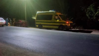  مصرع شخصين بالطريق الصحراوي الغربي في المنيا