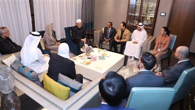 الإمام الأكبر: الإمارات توجت جهودها في نشر السلام العالمي برعايتها لوثيقة الأخوة الإنسانية