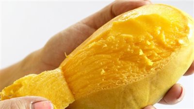 مشاجرة المانجا.. كيف حاول أهل المصاب بطعنة في الصدر بالهرم تبرئة شقيقه؟