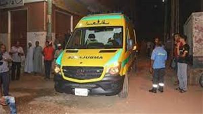 إصابة 9 أشخاص في انقلاب ميكروباص بأسوان 