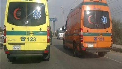 تفاصيل مصرع عاملين أثناء حفر خطوط الصرف الصحي بقرية بلانة في أسوان| بث مباشر 