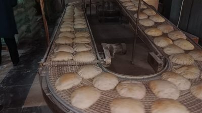 إحالة 69 محضرًا بالمخالفات التموينية بالدقهلية للنيابة العامة