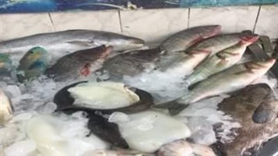 ضبط لحوم ومواد غذائية منتهية الصلاحية في حملة للطب البيطري بالغربية 