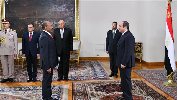 السيسي يتسلم أوراق