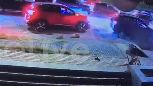 جانب من واقعة دهس