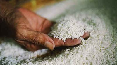 الكيلو وصل 30 جنيه.. تحرك برلماني: تجار يبيعون أرز التموين بالسعر الحر